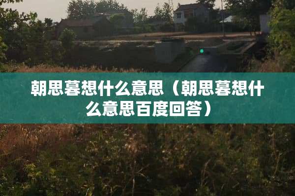 朝思暮想什么意思（朝思暮想什么意思百度回答）