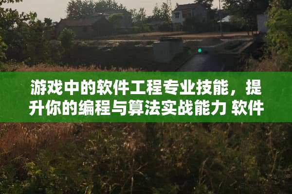 游戏中的软件工程专业技能，提升你的编程与算法实战能力 软件工程专业技能
