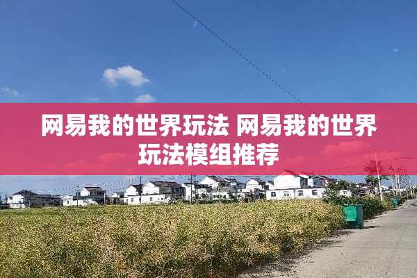 网易我的世界玩法 网易我的世界玩法模组推荐