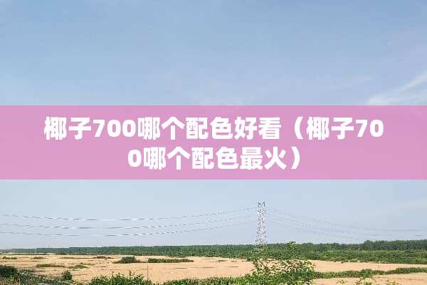 椰子700哪个配色好看（椰子700哪个配色最火）