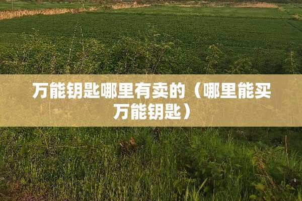 万能钥匙哪里有卖的（哪里能买万能钥匙）