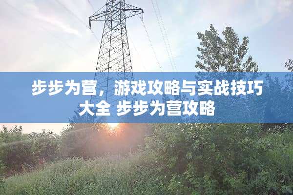 步步为营，游戏攻略与实战技巧大全 步步为营攻略