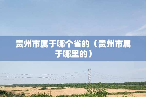 贵州市属于哪个省的（贵州市属于哪里的）