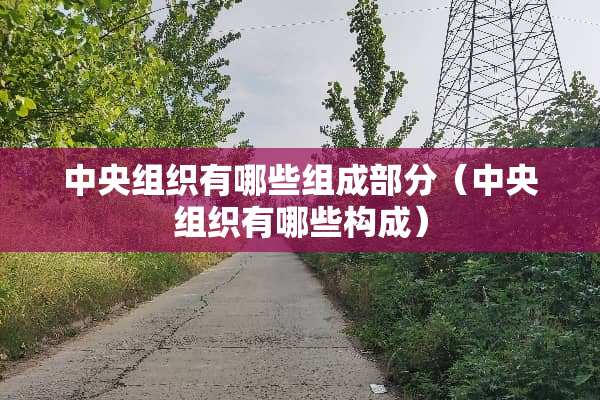 **组织有哪些组成部分（**组织有哪些构成）