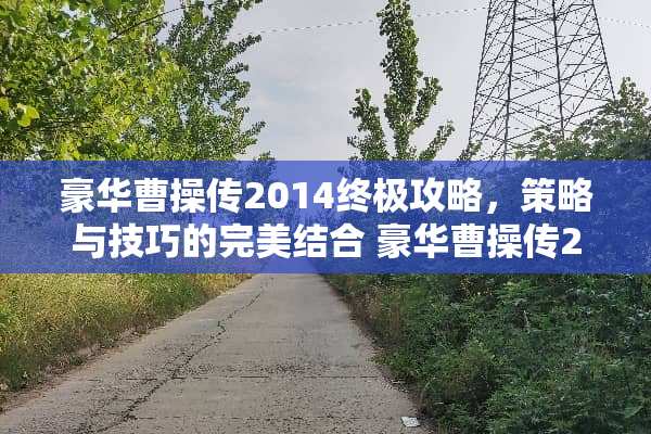 豪华曹操传2014终极攻略，策略与技巧的完美结合 豪华曹操传2014攻略