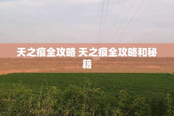 天之痕全攻略 天之痕全攻略和秘籍