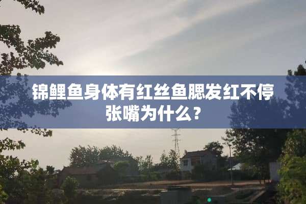 锦鲤鱼身体有红丝鱼腮发红不停张嘴为什么？