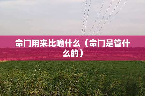 命门用来比喻什么（命门是管什么的）