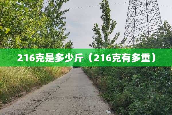 216克是多少斤（216克有多重）