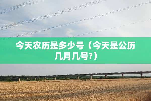 今天农历是多少号（今天是公历几月几号?）