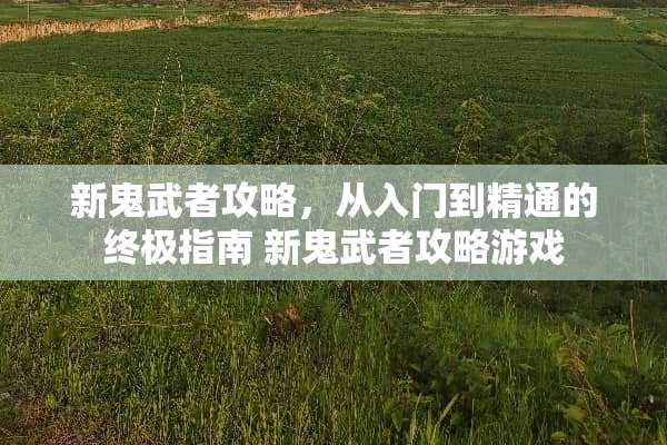 新鬼武者攻略，从入门到精通的终极指南 新鬼武者攻略游戏