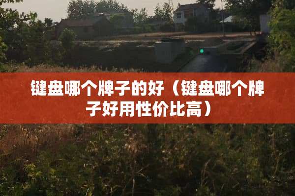 键盘哪个牌子的好（键盘哪个牌子好用性价比高）