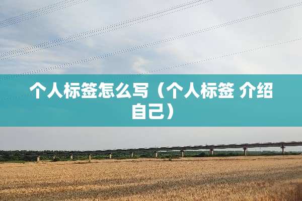 个人标签怎么写（个人标签 介绍自己）