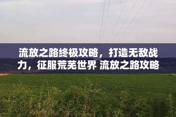流放之路终极攻略，打造无敌战力，征服荒芜世界 流放之路攻略