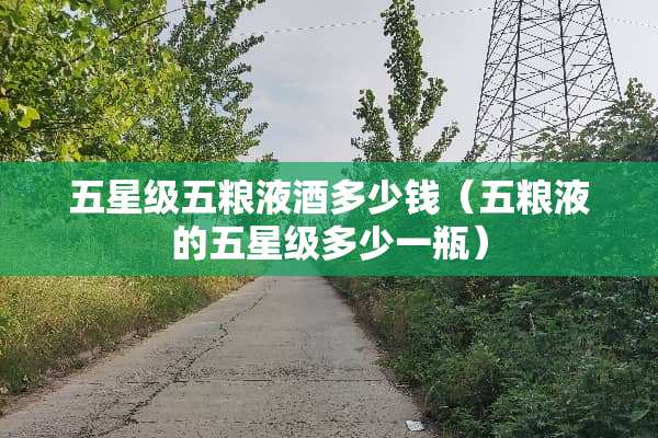 五星级五粮液酒多少钱（五粮液的五星级多少一瓶）