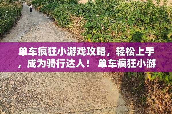 单车疯狂小游戏攻略，轻松上手，成为骑行达人！ 单车疯狂小游戏攻略