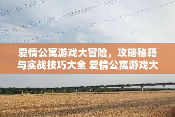 爱情公寓游戏大冒险，攻略秘籍与实战技巧大全 爱情公寓游戏大冒险攻略