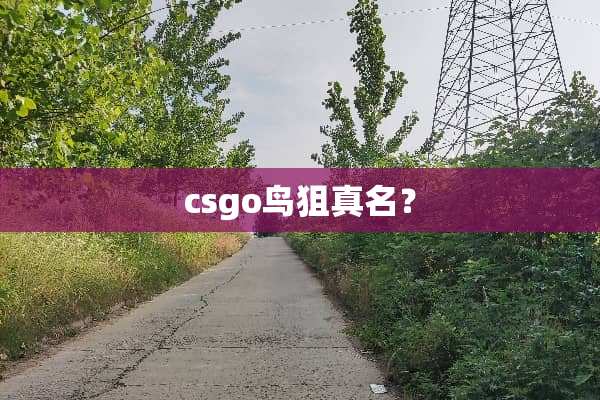 csgo鸟狙真名？