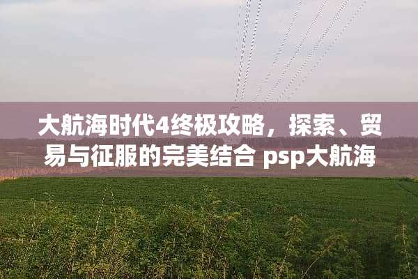 大航海时代4终极攻略，探索、贸易与征服的完美结合 psp大航海时代4攻略