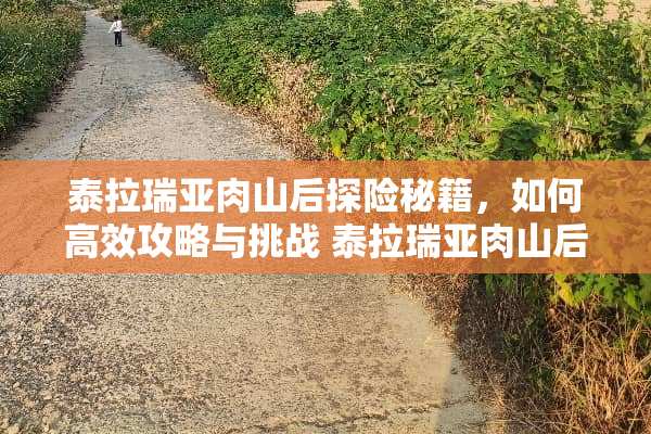 泰拉瑞亚肉山后探险秘籍，如何高效攻略与挑战 泰拉瑞亚肉山后攻略