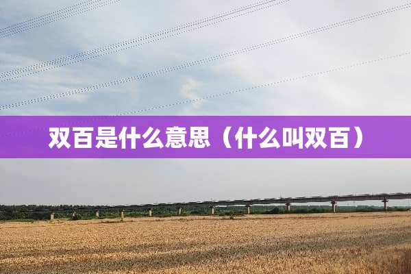 双百是什么意思（什么叫双百）