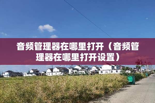 音频管理器在哪里打开（音频管理器在哪里打开设置）