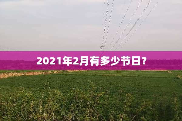 2021年2月有多少节日？