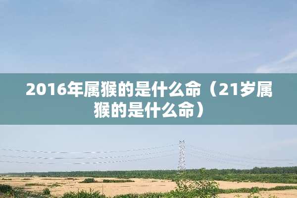 2016年属猴的是什么命（21岁属猴的是什么命）