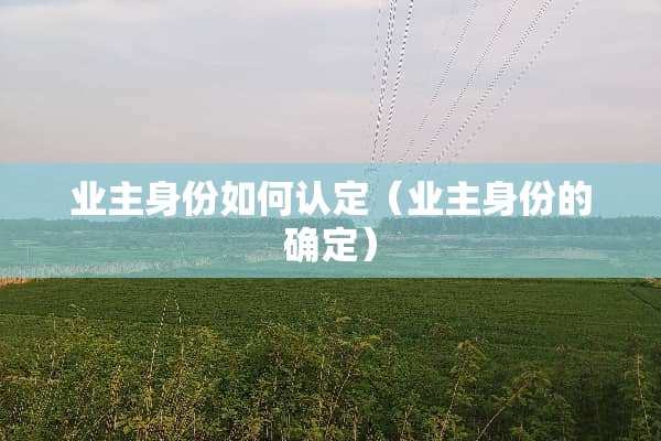 业主身份如何认定（业主身份的确定）