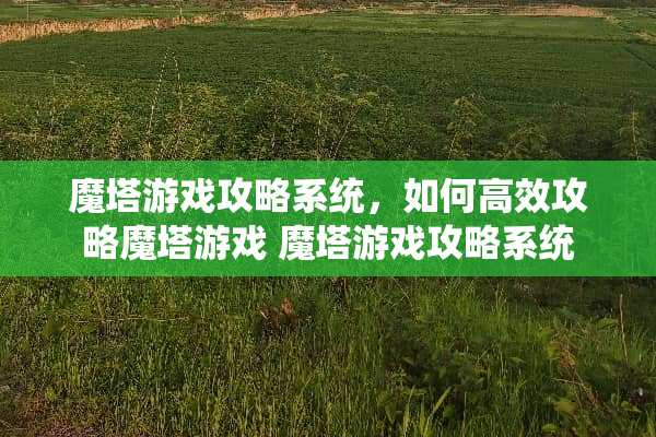 魔塔游戏攻略系统，如何高效攻略魔塔游戏 魔塔游戏攻略系统