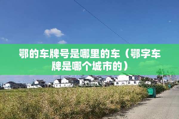 鄂的***是哪里的车（鄂字车牌是哪个城市的）