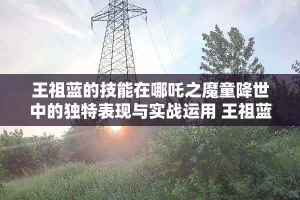 王祖蓝的技能在哪吒之魔童降世中的独特表现与实战运用 王祖蓝的技能