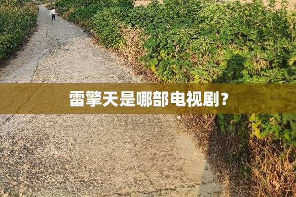 雷擎天是哪部电视剧？