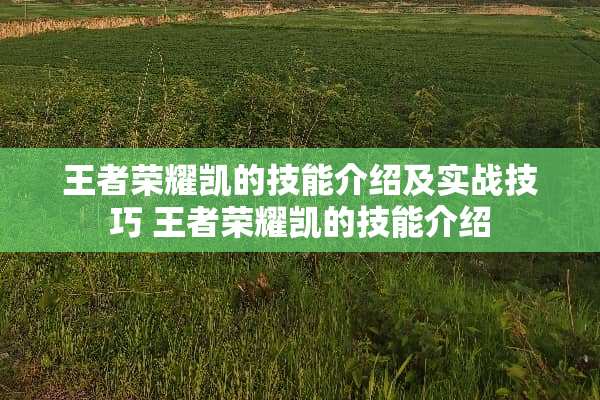 王者荣耀凯的技能介绍及实战技巧 王者荣耀凯的技能介绍