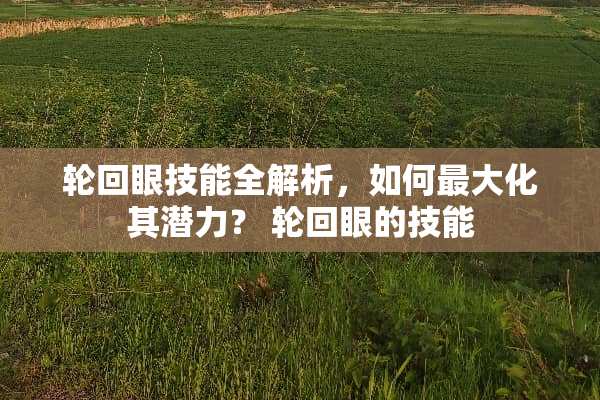 轮回眼技能全解析，如何最大化其潜力？ 轮回眼的技能