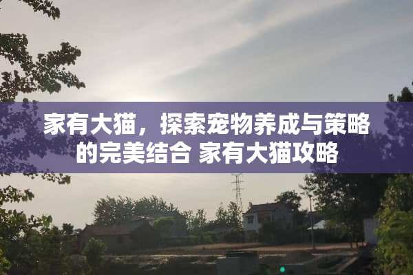 家有大猫，探索宠物养成与策略的完美结合 家有大猫攻略