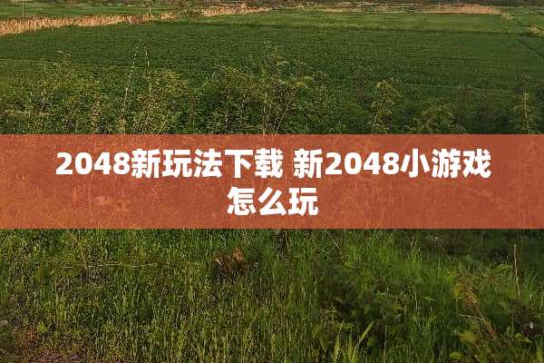 2048新玩法下载 新2048小游戏怎么玩