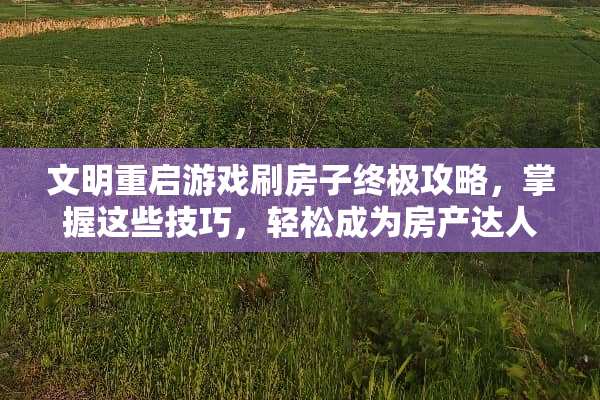 文明重启游戏刷房子终极攻略，掌握这些技巧，轻松成为房产达人 文明重启游戏刷房子攻略