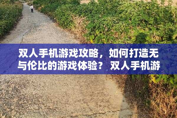 双人手机游戏攻略，如何打造无与伦比的游戏体验？ 双人手机游戏攻略