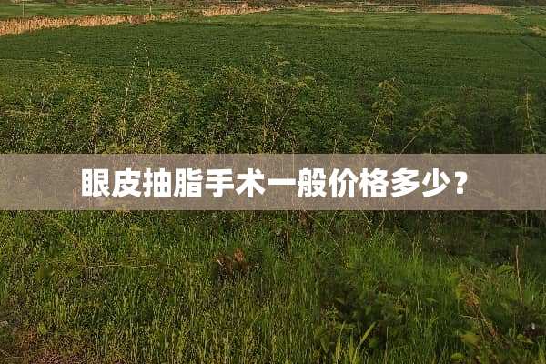 眼皮抽脂手术一般价格多少？
