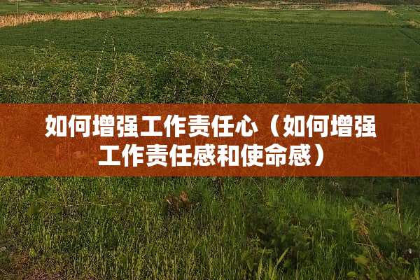 如何增强工作责任心（如何增强工作责任感和使命感）