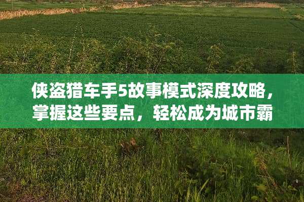 侠盗猎车手5故事模式深度攻略，掌握这些要点，轻松成为城市霸主 gta5故事模式攻略