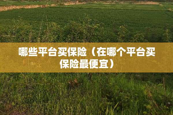 哪些平台买保险（在哪个平台买保险最便宜）