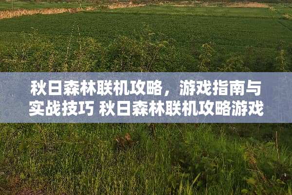 秋日森林联机攻略，游戏指南与实战技巧 秋日森林联机攻略游戏