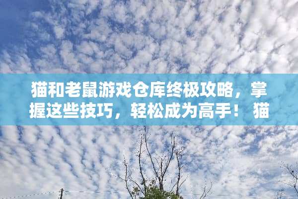 猫和老鼠游戏仓库终极攻略，掌握这些技巧，轻松成为高手！ 猫和老鼠游戏仓库攻略