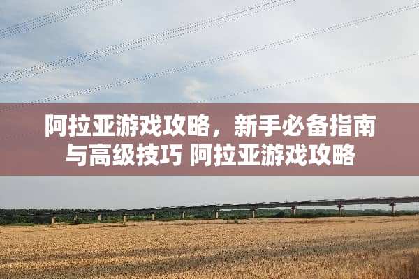 阿拉亚游戏攻略，新手必备指南与高级技巧 阿拉亚游戏攻略