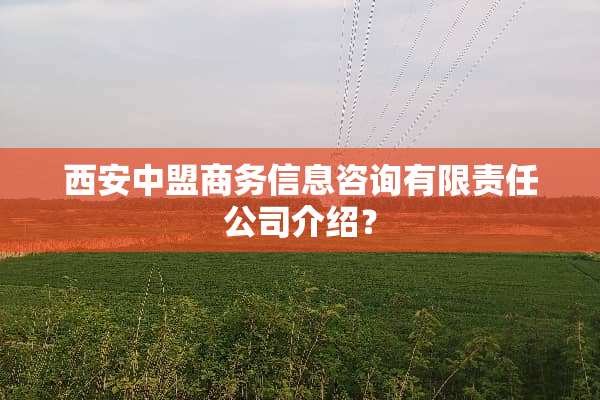 西安中盟商务信息咨询有限责任公司介绍？