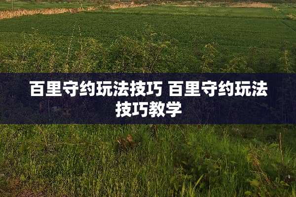 百里守约玩法技巧 百里守约玩法技巧教学