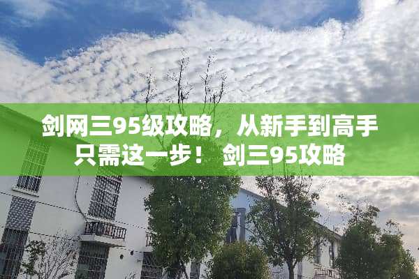 剑网三95级攻略，从新手到高手只需这一步！ 剑三95攻略