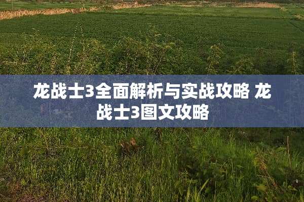 龙战士3全面解析与实战攻略 龙战士3图文攻略